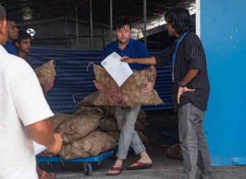 Onion Shortage: STO launches onion stock