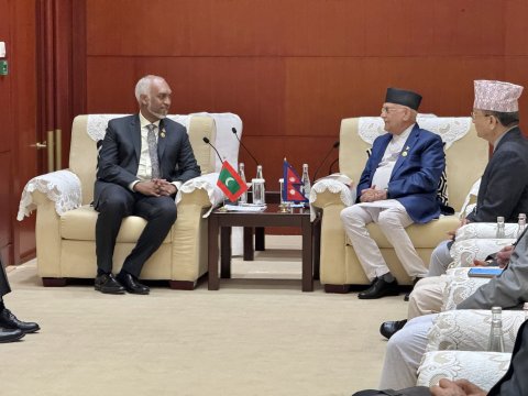 President meets Prime Minister of Nepal