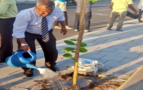 Male' City fehi kollumuge masaikai fashaifi!