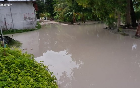 Boakoh vaarey vehumuge sababun feydhoo maguthakugai fen boduvejje