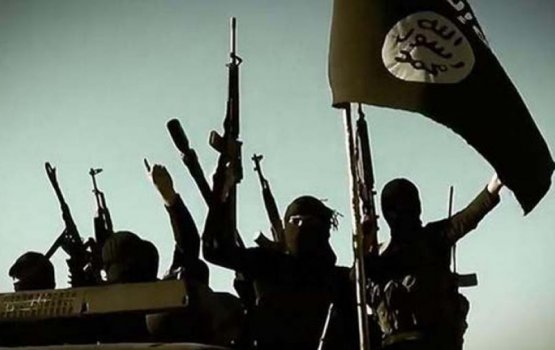 ISIS hanguramaveringe ravvehikan baathilu kuraanun: Denmark 