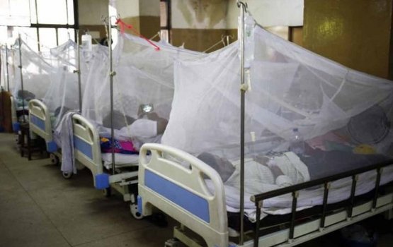 Philippines gaives nurakka dharajayakah dengue fethurenee