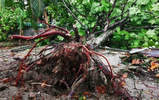 Felidhoo ah nagoo roalhieh araa 5 geyakah gellun vejje