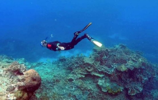 Barrier Reef ge massalagai Australia ge rulhigandu UN ah