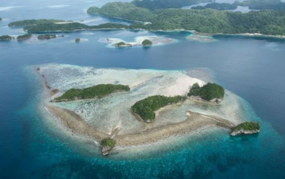 Palau: first country to ban 'reef toxic' sun cream 