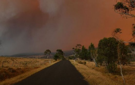 Australia alifangandu varugadhave reserve faujuthavves nerefi