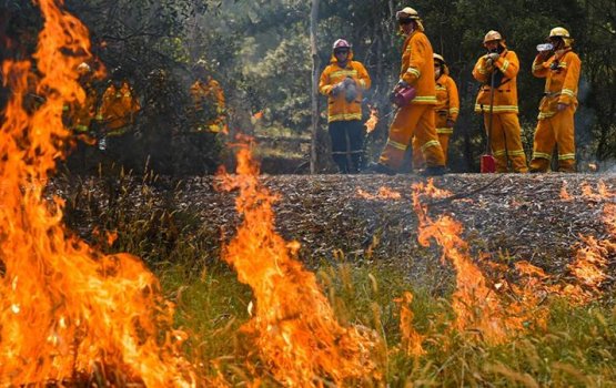 Alifanuge nurrakka aneikaves boduve, Australia alertah 