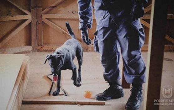 Police nabs 9KGs of drugs with MVR4m