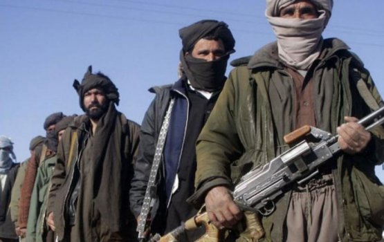 Taliban qaidheen minivan kurun faskoffi