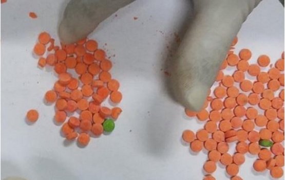 Bangladeshi traveler nabbed with over 1900 party 'pills'