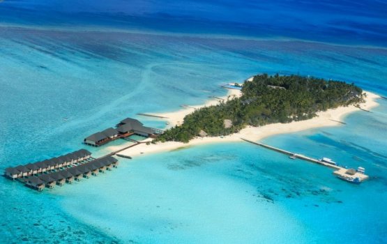 Two French travelers quarantined at Summer Island Resort
