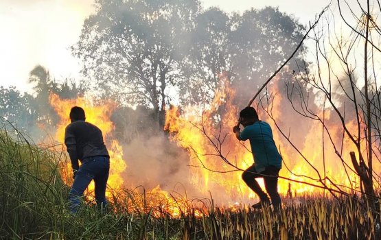 Fuvahmulakuge chaka bimugai alifaan roavgene MNDF in harakaai therivany 