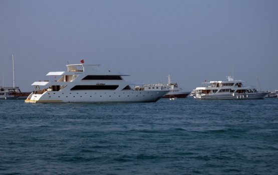 COVID19: Maldives confirms 13 positive cases