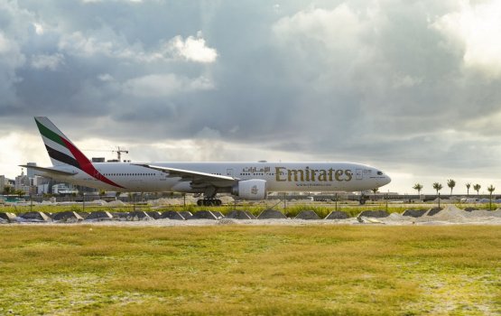 Emirates temporarily shuts down flight operations
