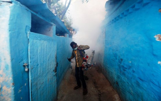 India gai haluvikama eku dengue fethurenee!