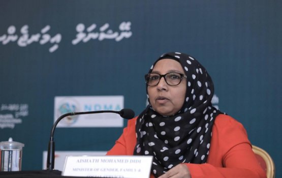 Govt to establish temporary shelters to domestic abuse victims