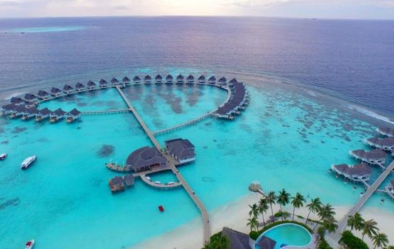 Green Tax revenue decline by 3.5 percent in Feb 2020