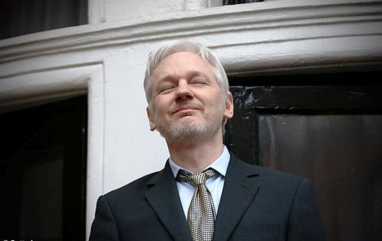 Embassy gai huri iru Assange ah 2 kudhin viheinn: Stella