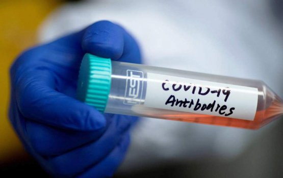 COVID-19: antibody test ge dhebaikulha ebbai natheeja goas - CDC