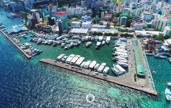 Four vessels placed under monitoring