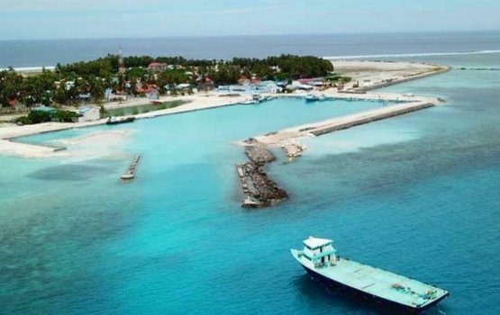 Man dies after plummeting from palm tree