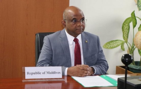 We welcome G20's decision on debt treatment: Foreign Minister