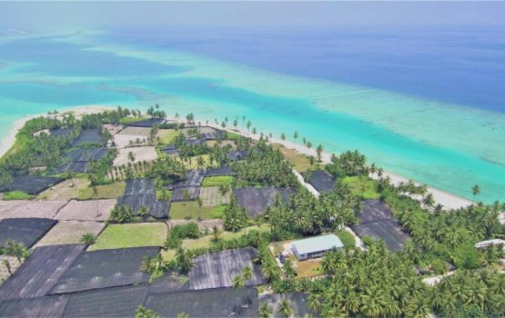 Locals discover human remains at Kandoodhoo beach