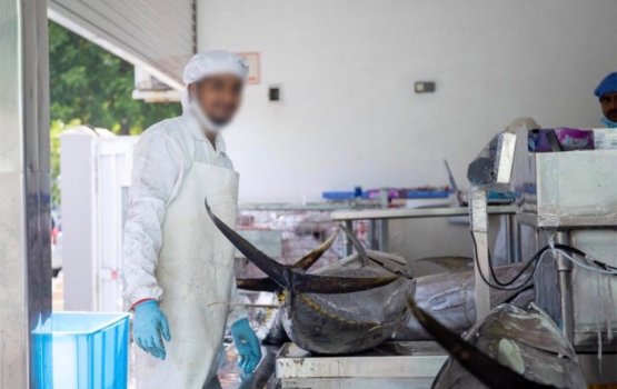 Ensis Fisheries staff tests positive for Covid-19