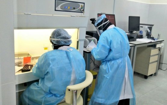 11 new COVID-19 cases reported on Monday