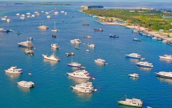 Serious allegations of police negligence and misuse of power