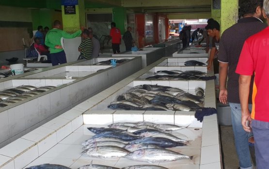 Male' Fish Market ready to reopen under new normal