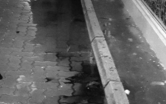 Elderly man falls to death in Male' last night