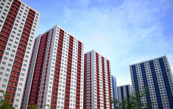 Govt publicizes unreachable H7 applicants