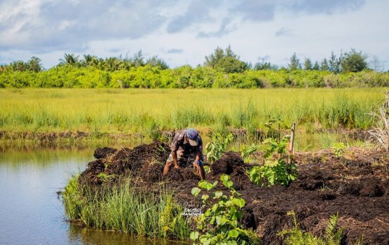 Four site in Addu City declared as protected Areas