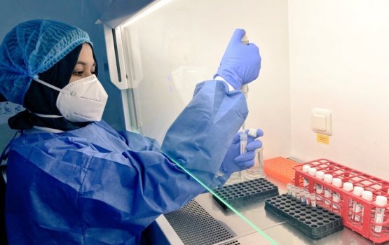 128 new COVID-19 cases reported in the Maldives