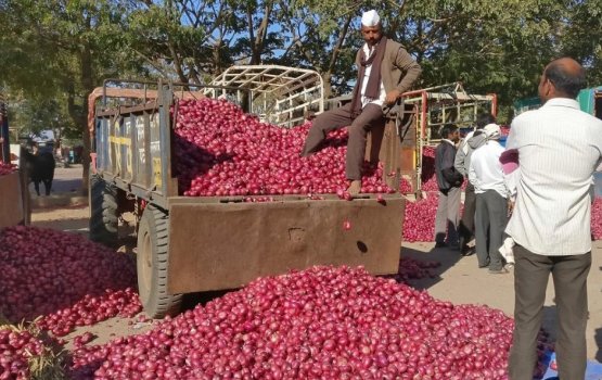 No shortages of onions to the Maldives: Foreign Ministry