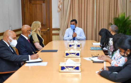 UN Resident Coordinator meets VP Faisal 