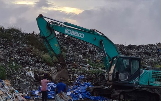 Customs confiscate huge bust of 