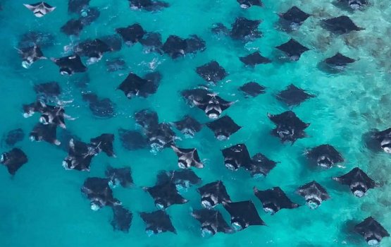 Foreign vessel fined for illegal entrance into a protected area