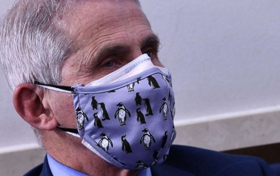Vaki gothakah mask alhaigen 96.5 percent ah virus inn dhifaau vevay: CDC