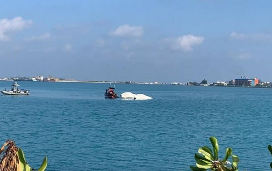 All aboard crashed seaplane now discharged: Manta Air