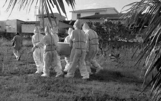 COVID death toll reaches 269 with 4 deaths today