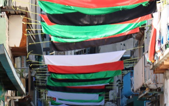 The Maldives stands in solidarity with Palestine: Govt