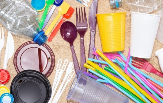 PO republishes list of SUPs banned for import