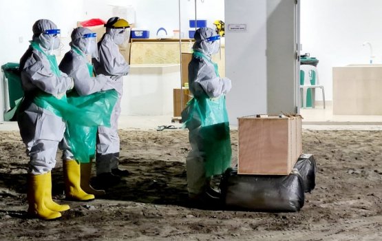 Four COVID deaths reported so far today