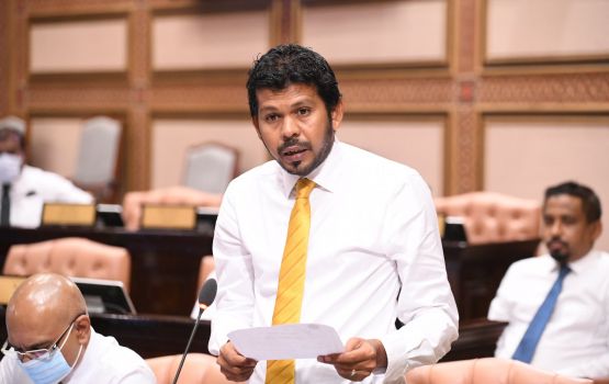 Mihaaruge budget in council thakuge haradhthah dhekolheh nujesseyne: Waddey