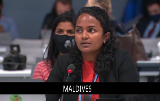 COP26 deal does not bring hope to our hearts: Minister Shauna