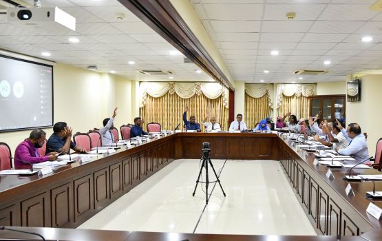 73 million rufiyaa ithurukoh committee in budget faas kohffi