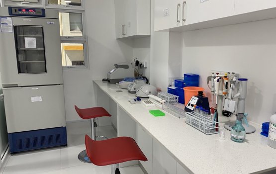 Mediflex readies for DNA sequencing 