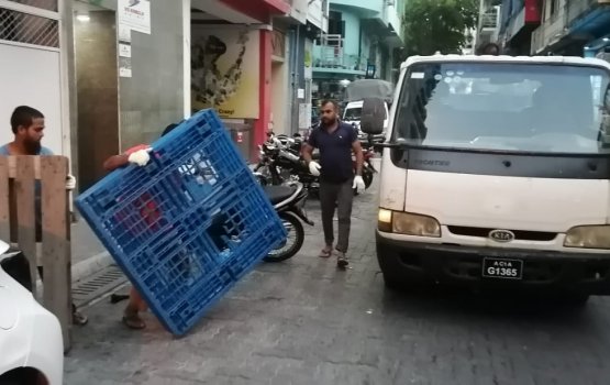 City Council removes more than 190  illegally placed pallets